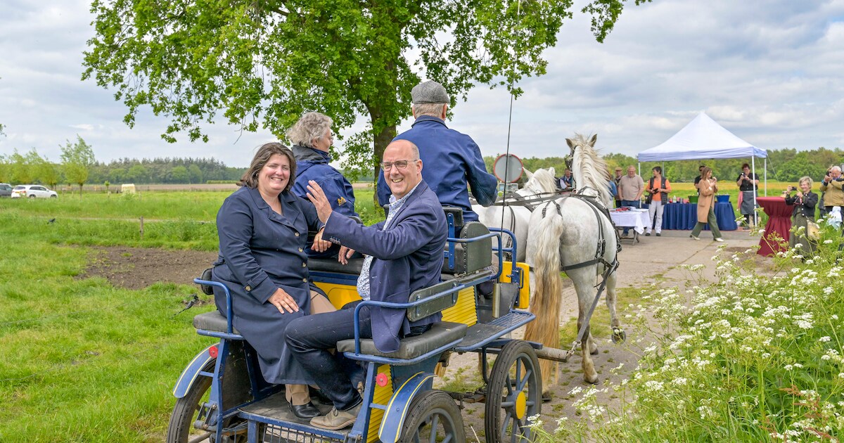 Nieuwe ruiterroute tussen Rucphen en Roosendaal open: ‘Je kunt hier op ...