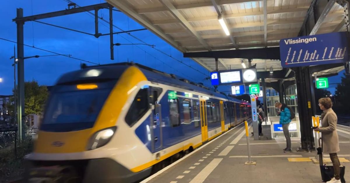 ‘Fysiek geweld, spugen en schelden, het moet afgelopen zijn’: geld voor ‘onveilig’ station Bergen op