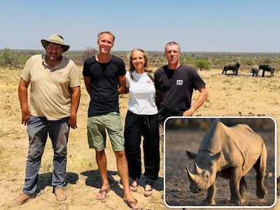Zeldzame zwarte neushoorns uitgezet in Afrika met Nederlands tintje: ‘Iconisch dier’