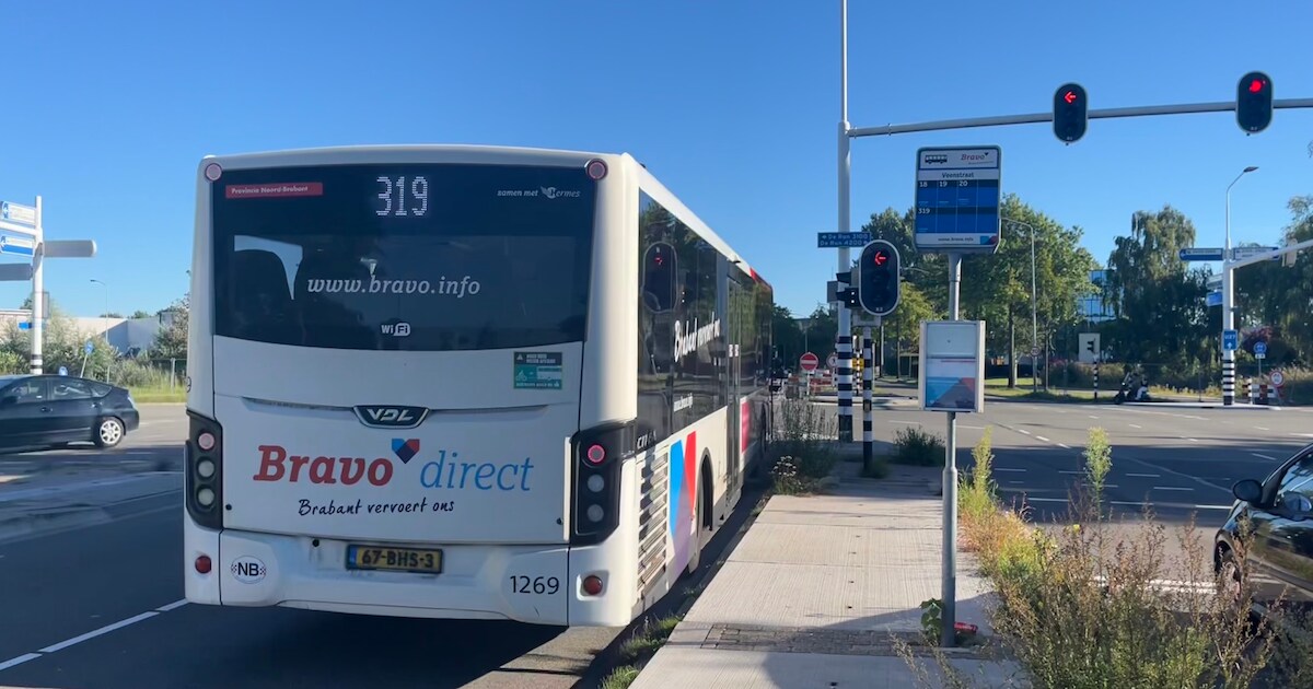 Bus 319 stopt niet meer in Steensel: ‘je moet keuzes maken’ | Foto