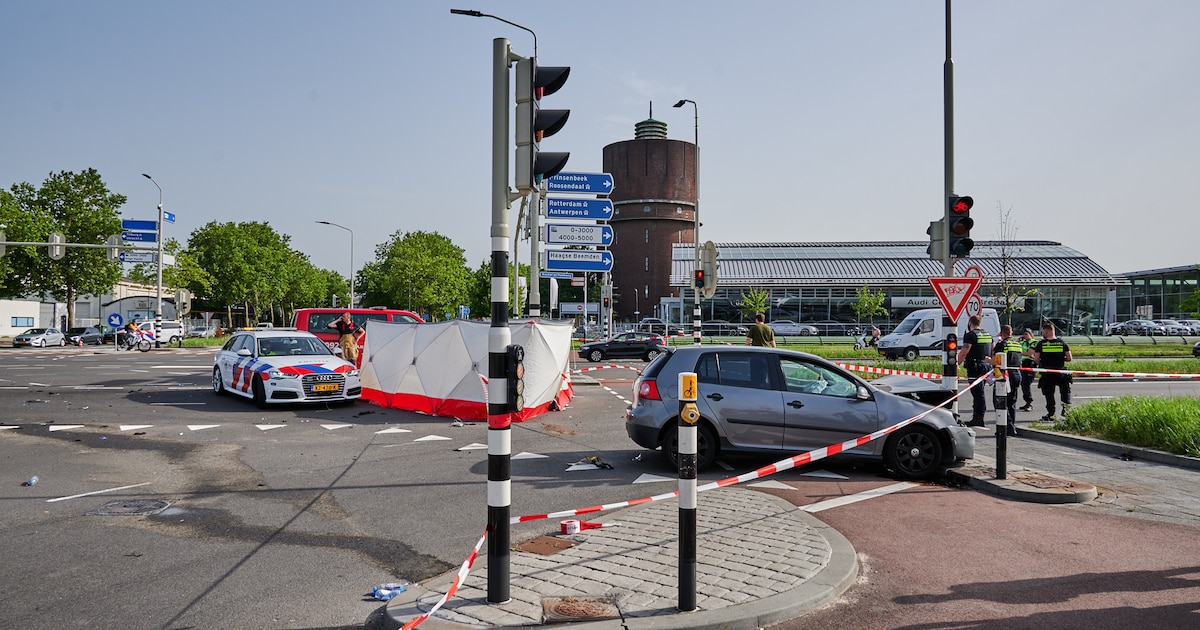 Motorrijder (51) verongelukte door roodrijder: ‘Ik had nog zoveel plannen met hem’