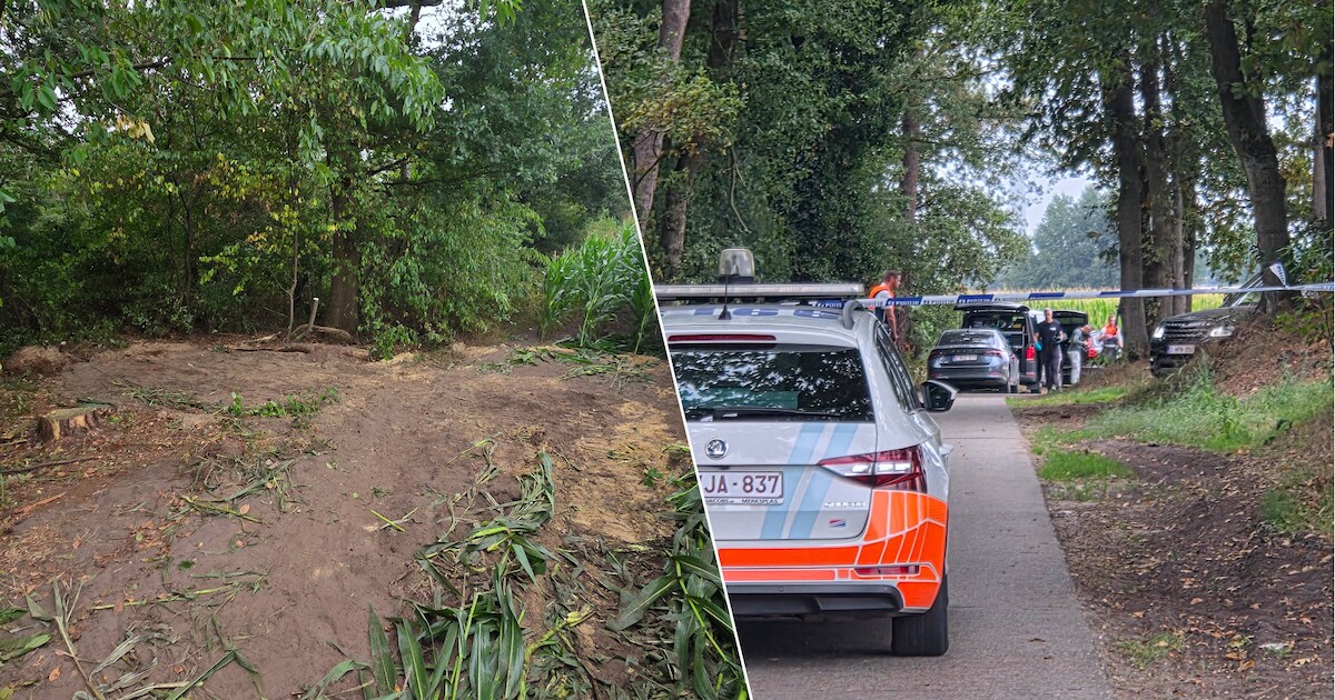 Vlaamse boer vindt lichaam aan rand van maïsveld nabij Hazeldonk: ‘Ik zag meteen aan de grond dat ie