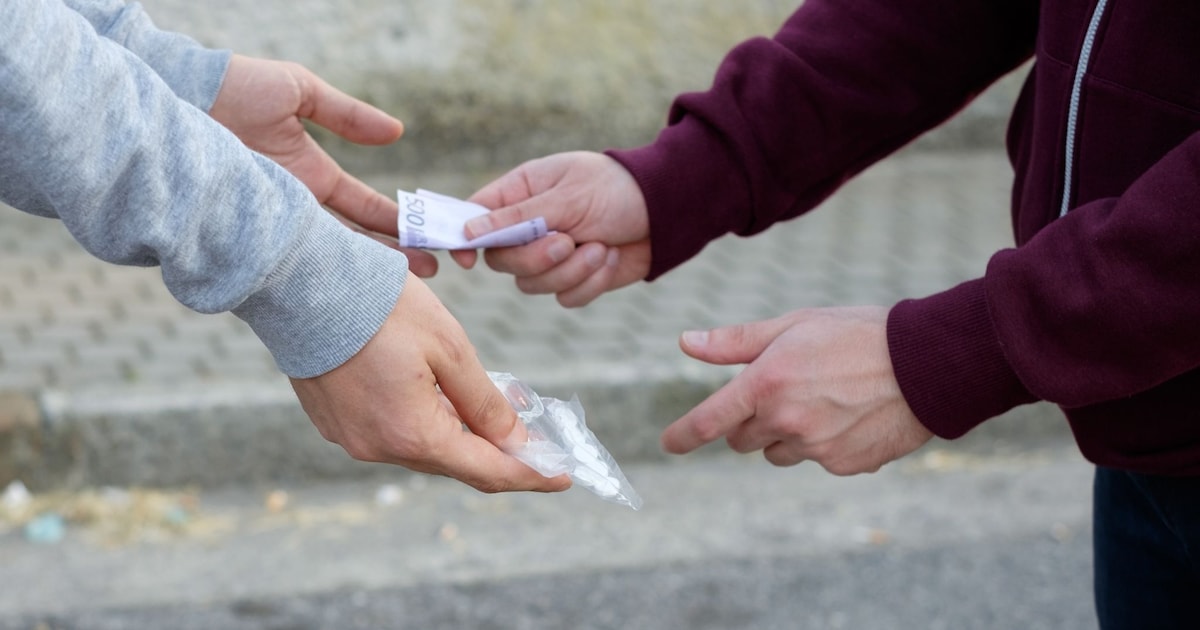 Raad van State vindt dealen drugs aangetoond; Oosterhouter (21) moet ...