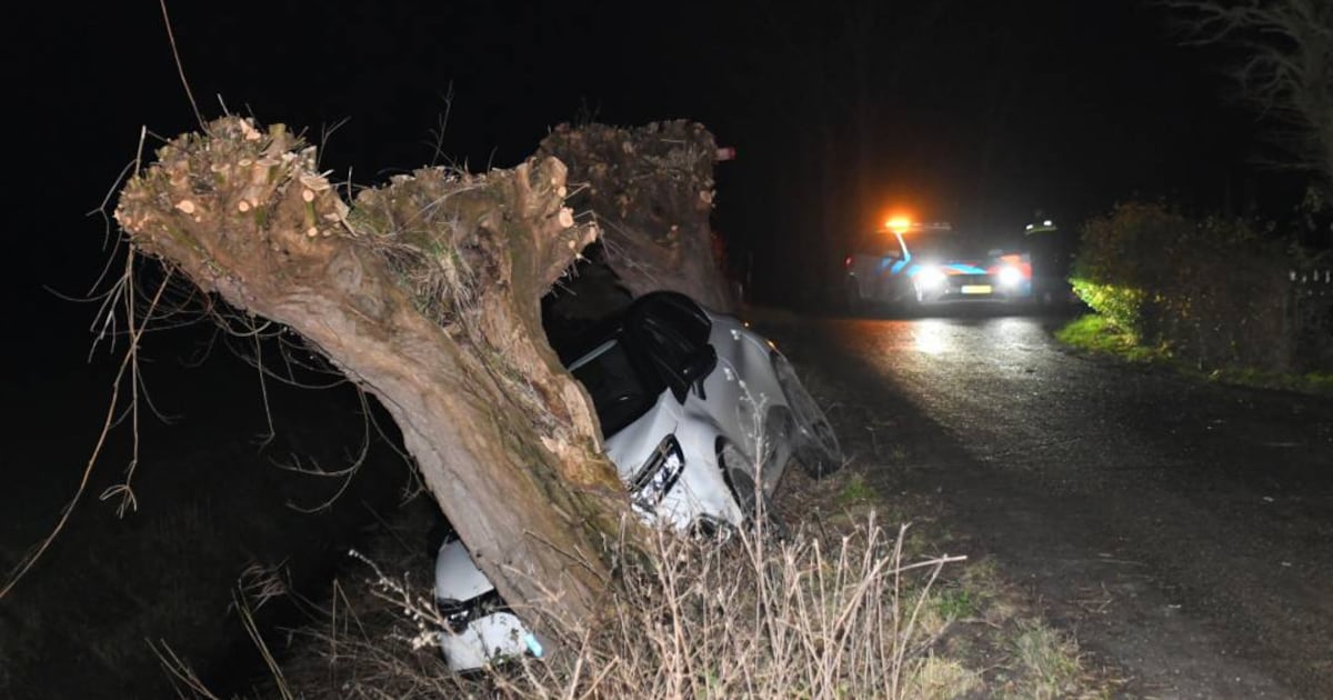 62-jarige man overleden na botsing tegen boom in Breskens