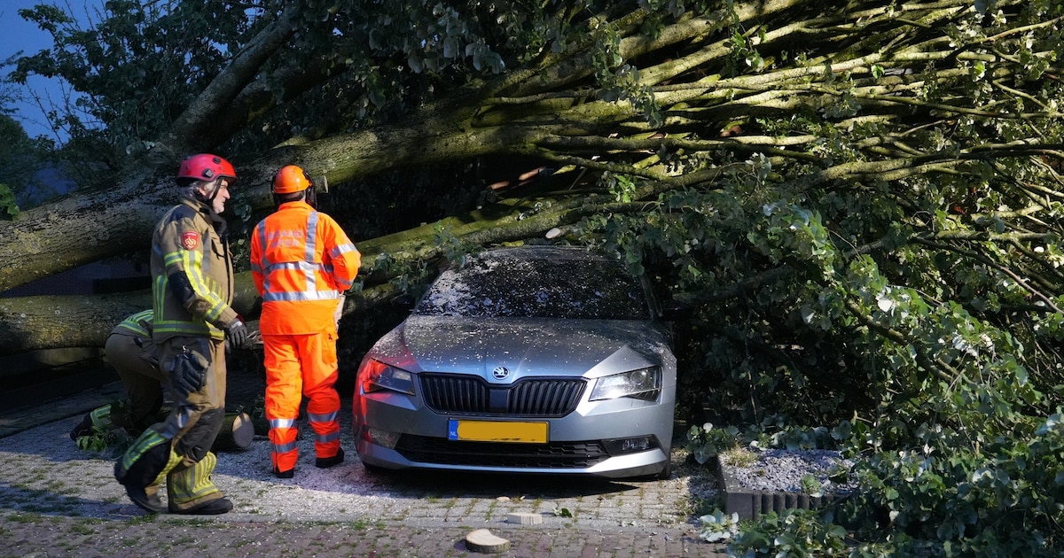 Flinke schade nadat boom tijdens noodweer op huis en auto waait in Molenschot