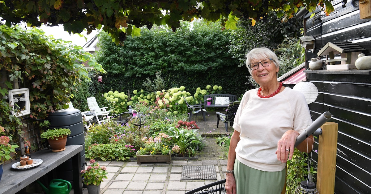 In de fleurige tuin van Nelly (80) is haar overleden echtgenoot Piet nooit ver weg