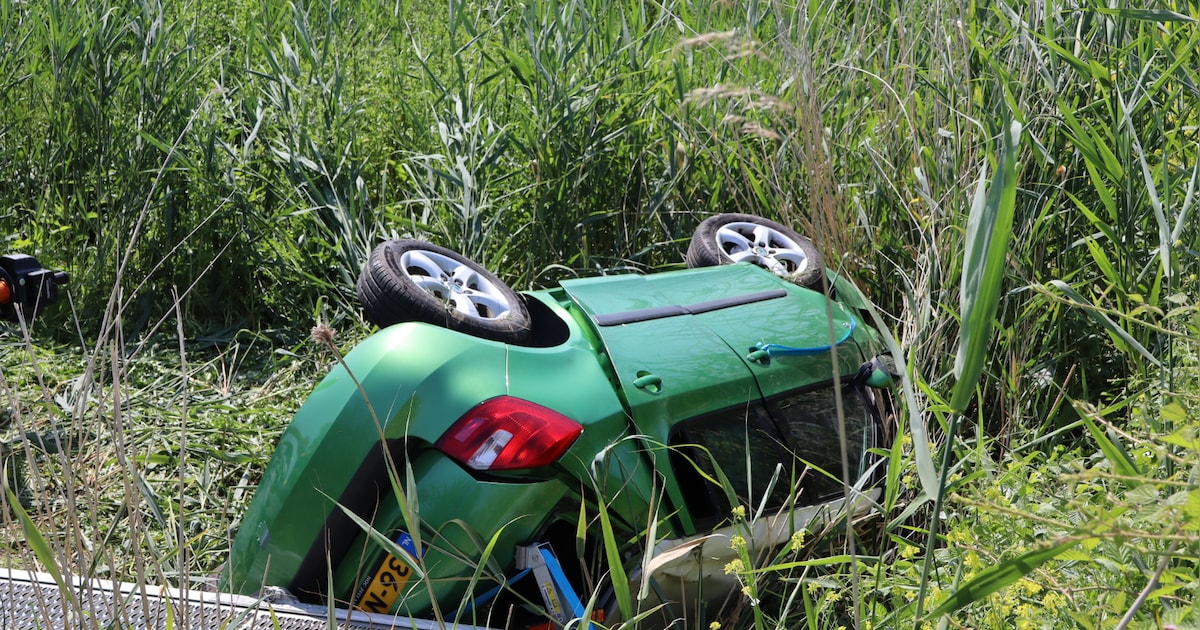 Auto belandt na verkeersconflict in sloot langs A59 bij Waspik, ree komt om het leven