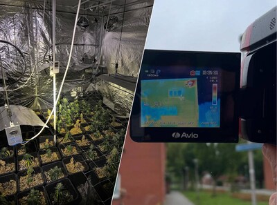 Verborgen hennepkwekerij opgerold dankzij warmtecamera, 235 planten ontdekt