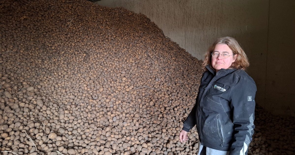 ‘Overweldigende belangstelling’ voor goedkope aardappelen van Diny en ...