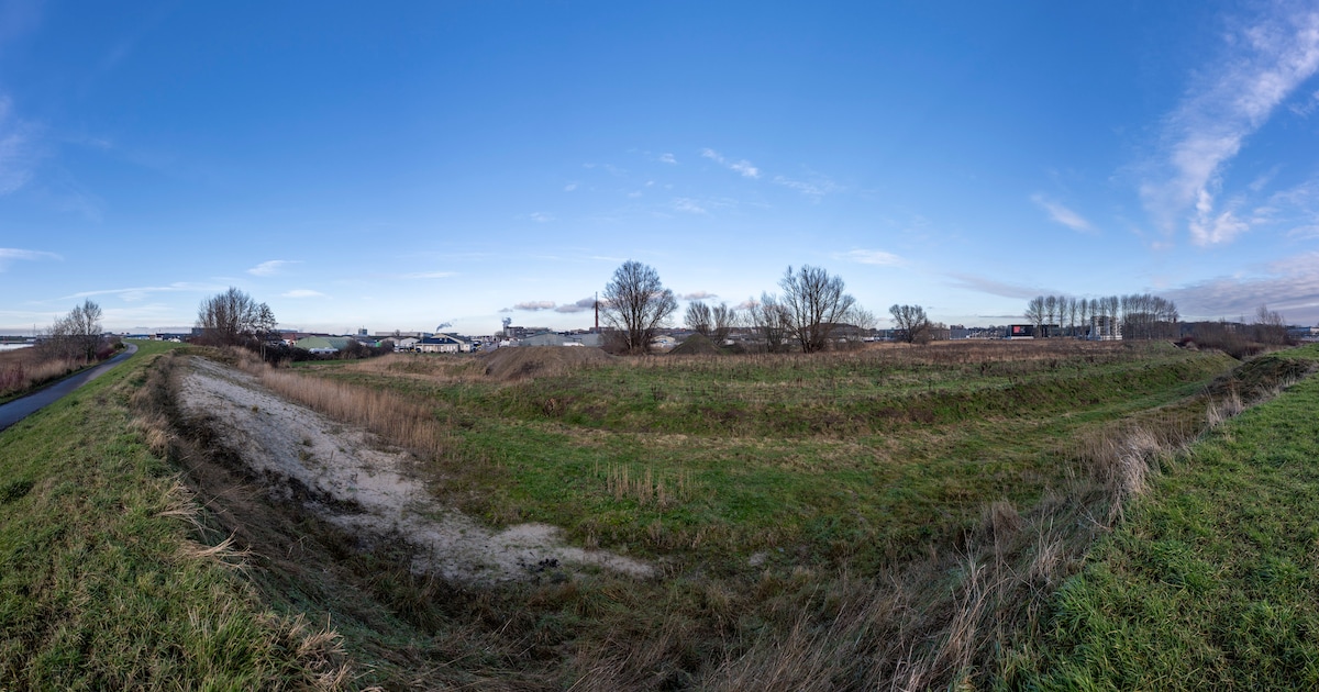 Kermisexploitanten slaan alarm over nieuwe woonwijk in Bergen op Zoom: 'Dit wordt een verkeersdrama’