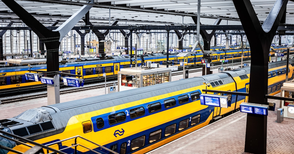 Trein op Rotterdam Centraal ontruimd, persoon door politie meegenomen
