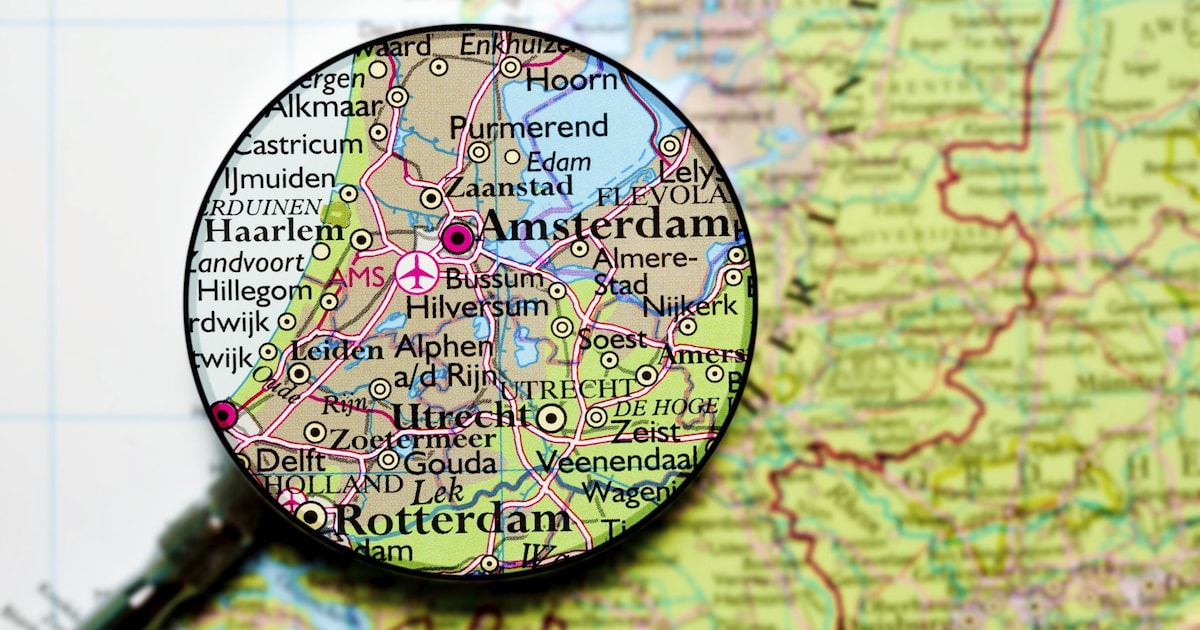 Schapen en koeien dood bij brand in De Woude