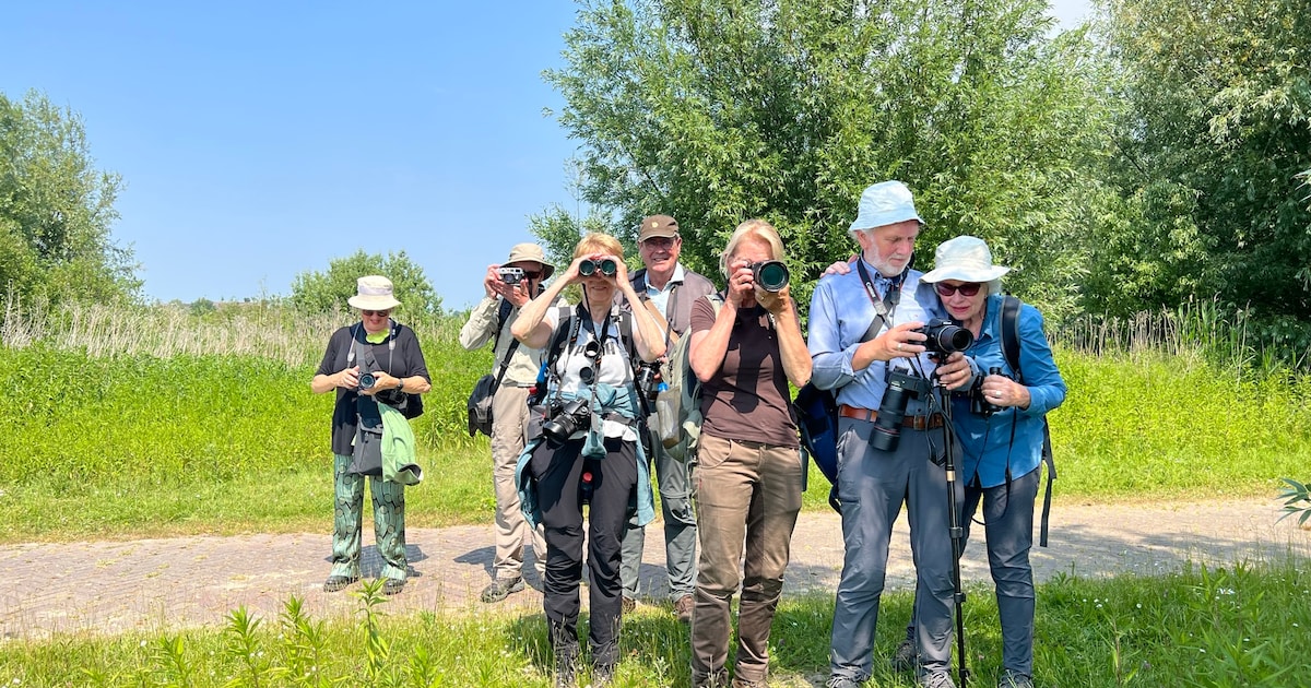 IVN vogelwerkgroep houdt avondwandeling in Groot Goor in Helmond tijdens Nationale Vogelweek