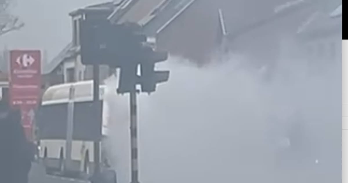 Paniek om rokende bus van De Lijn in Hoevenen: chauffeur zet voertuig veilig aan de kant