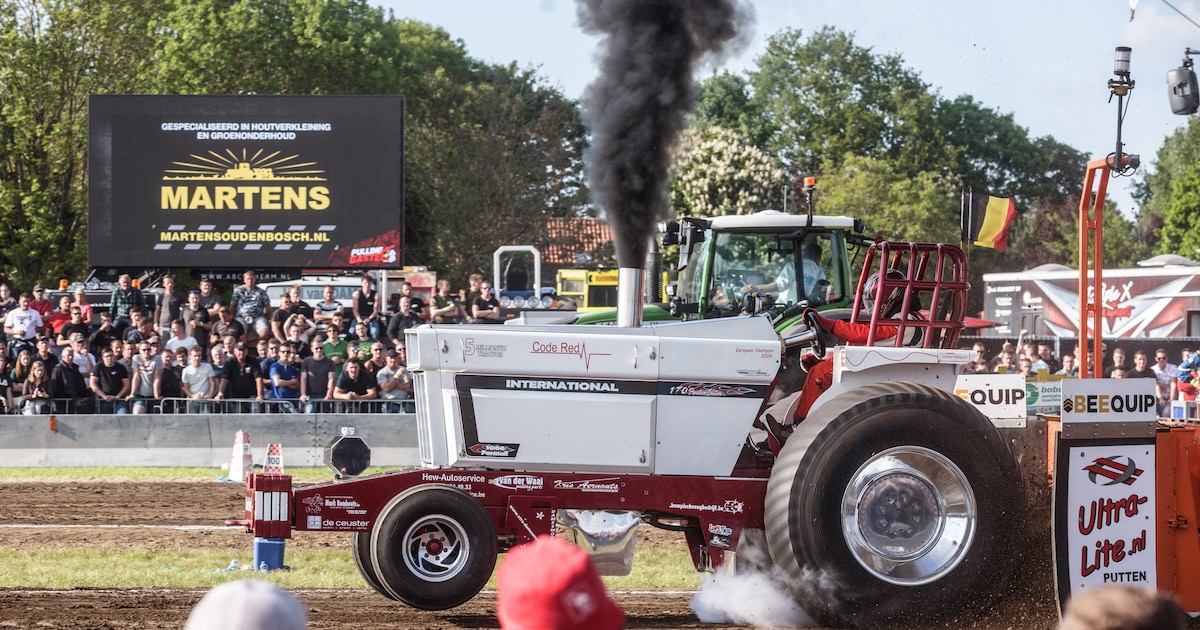Primeur voor Pulling Gastel: twee dagen en extra tribunes