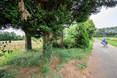 Breda wil nieuw bedrijventerrein op Steenakker-Noord, erfgoedclubs vrezen verlies van prehistorisch landschap: ‘En weg is weg’