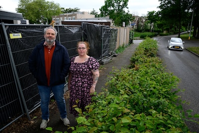 Helmer schrikt zich kapot als auto zijn tuin invliegt; twee weken later gebeurt hetzelfde bij buurvrouw Joyce