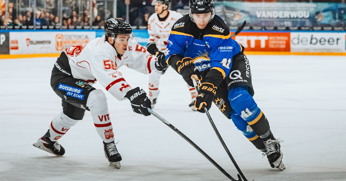 Play-offs gaan zondag van start voor Trappers: ‘Ik denk dat ze een eind ...