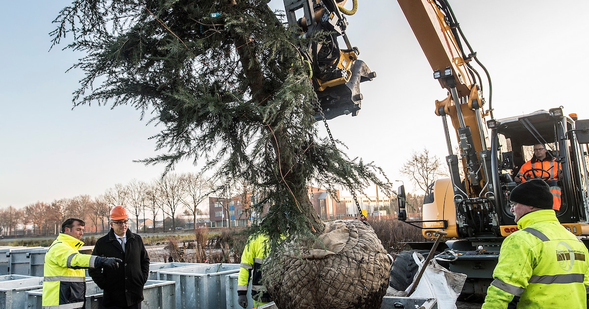 molenstraat-zundert-krijgt-bomen-van-eigen-bodem-breda-bn-destem-nl