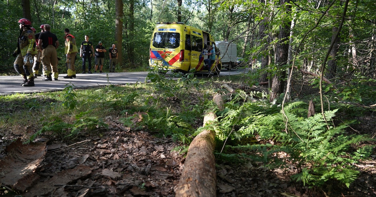 Wielrenner (78) gewond nadat boom op hem valt in Alphen