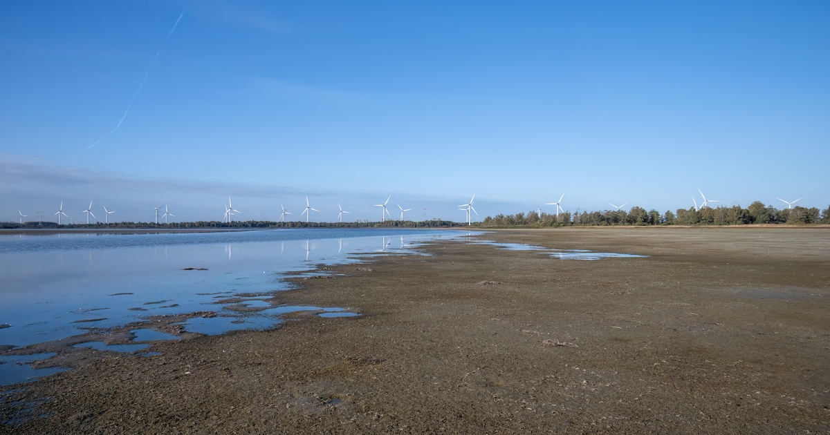Lezing over Markiezaatsmeer in Bergen op Zoom