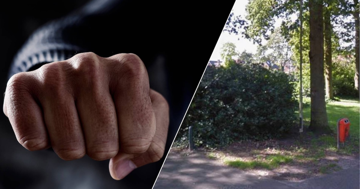 Verdachte (21) van dodelijke mishandeling 47-jarige man in park Roosendaal beroept zich op zelfverde