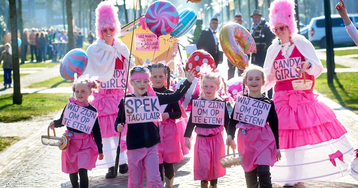 Kijk hier naar foto’s van de optochten in de regio's Uden en Veghel | Foto