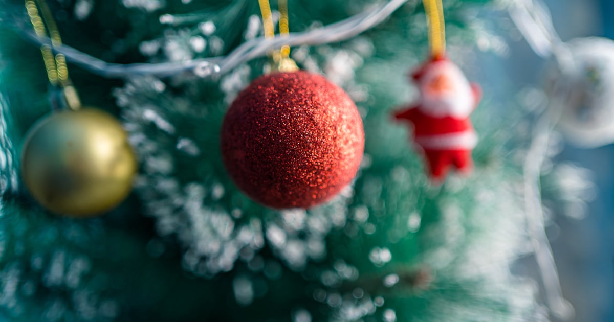 Kerstavond in Teteringen: samen zingen rond de kerstboom in Willem-Alexander Park