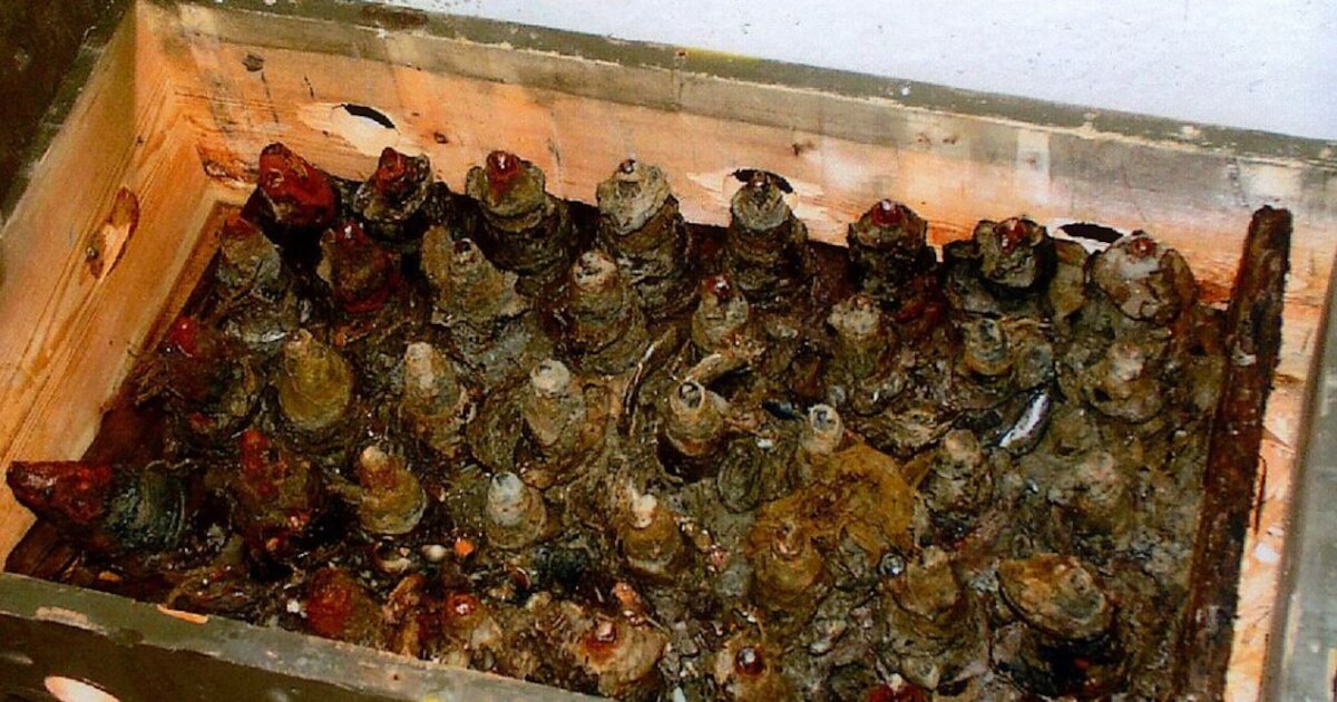 Onderzoek wijst uit: munitiedepot bij Zierikzee vormt geen gevaar voor waterkwaliteit Oosterschelde