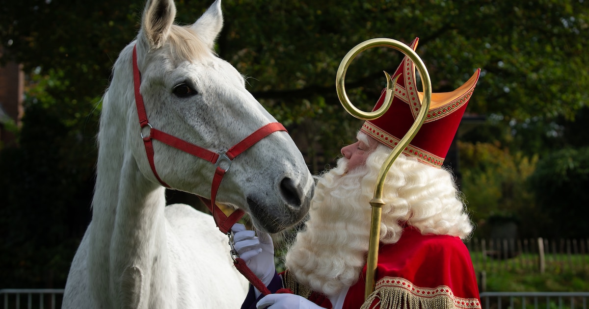 Sinterklaas komt zondag aan in Zundert: feestelijke ontvangst bij het raadhuis