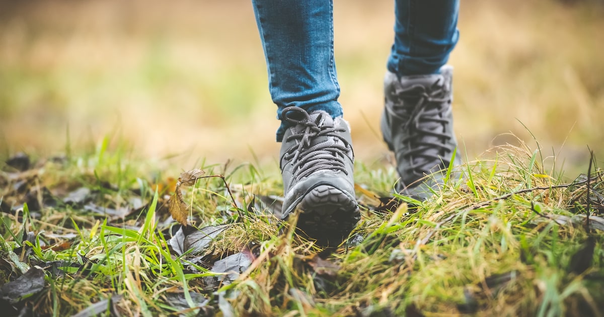 IVN houdt wandeling met gidsen door Landgoed Plantloon in Waalwijk