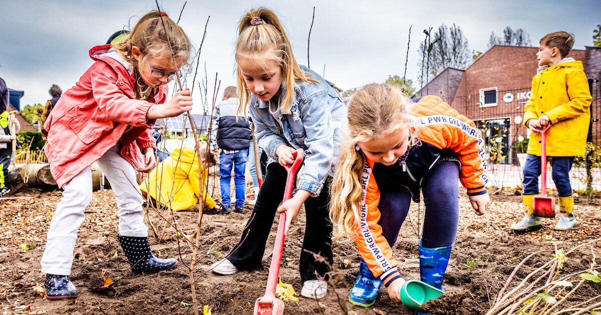 Laatste kans op groen: gratis bomen en struiken bij bomenhub in Klaaswaal | Hoeksche Waard