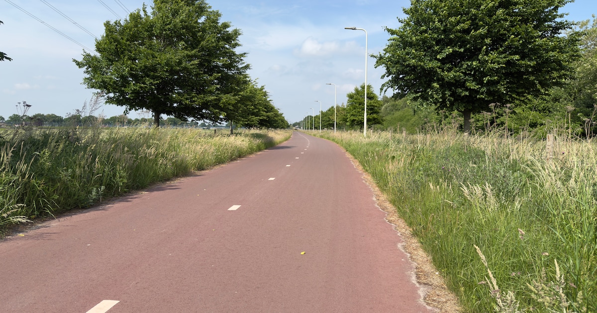 Afronding F58 laat langer op zich wachten, maar volgend jaar moet de fietssnelweg toch écht klaar zi