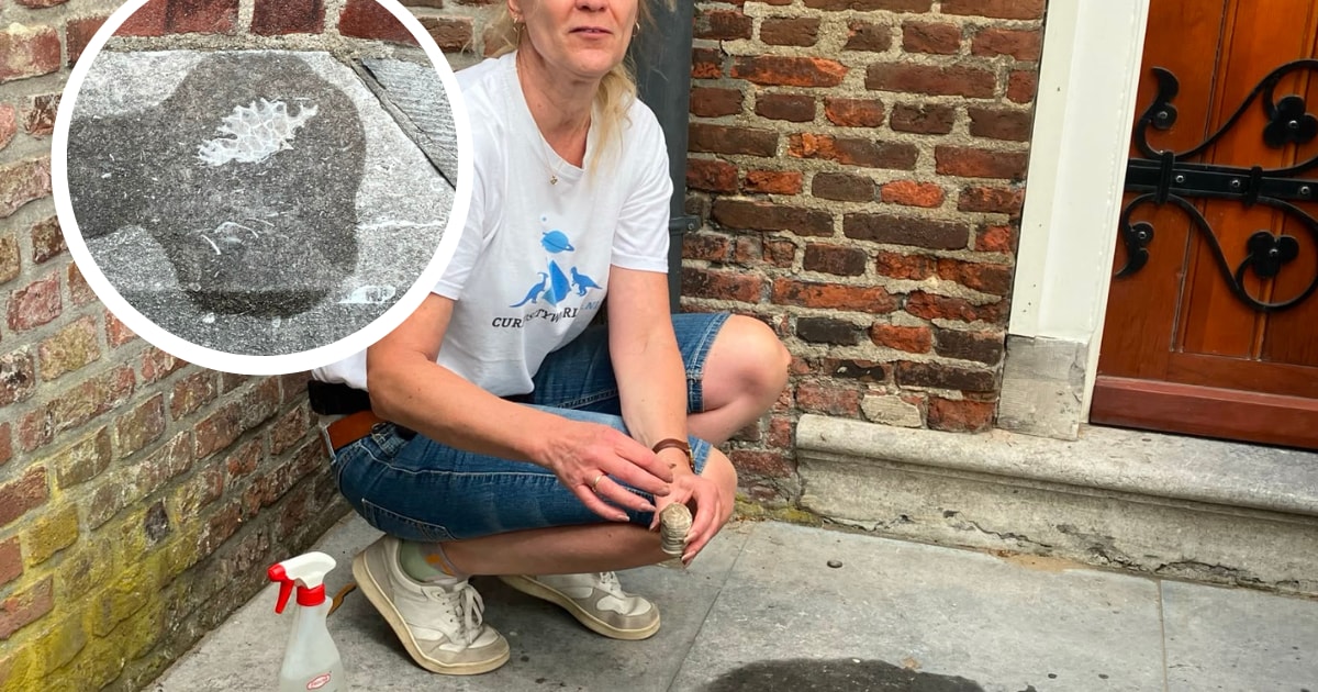 Mysterie opgelost: dit zijn die witte vlekken op de Heikese Kerk