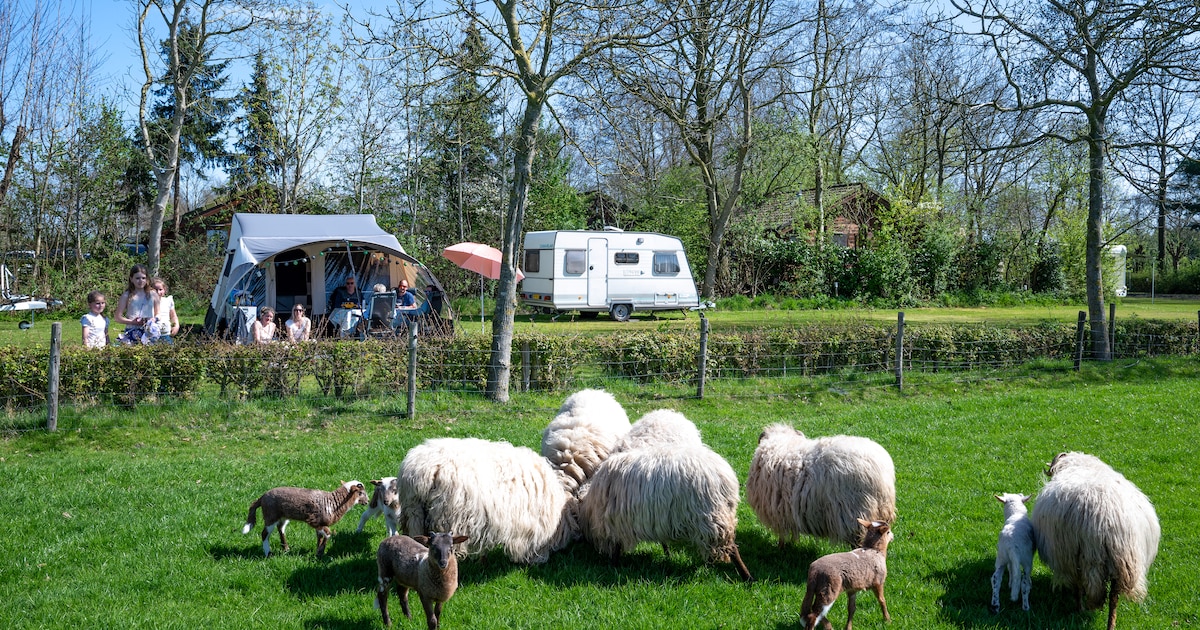 Toeristenbelasting in Etten-Leur lijkt blijvertje en heeft nauwelijks invloed op boekingen