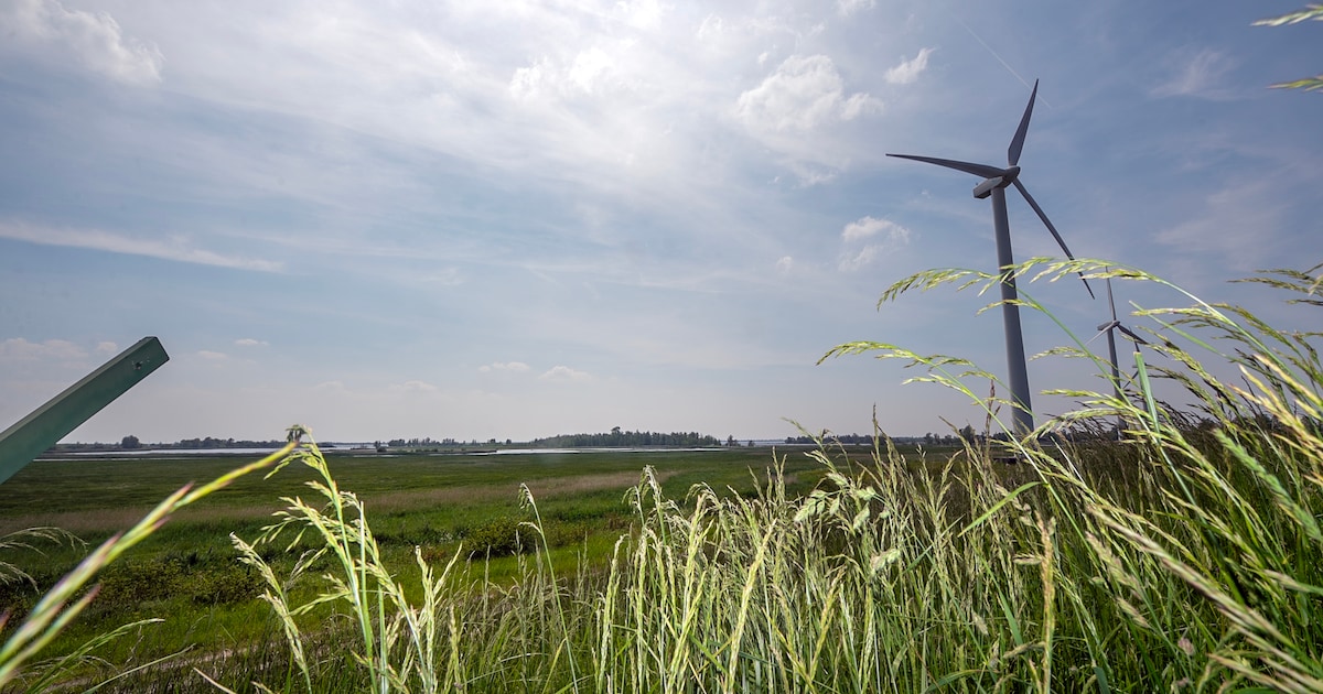 Nieuwe coalitie remt plannen voor Auvergnepolder af: slechts 60 hectare bedrijventerrein mogelijk