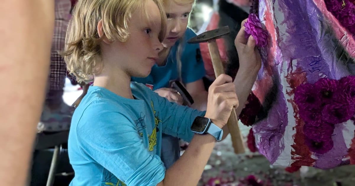 Gefeliciteerd met uw toegangsbewijs voor Bloemencorso Zundert