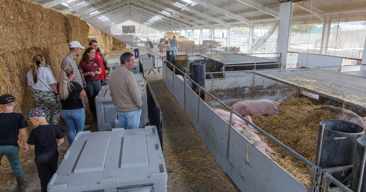 Een boerderij, veertig hulpboeren en nieuwe appartementen: op De Ruige Velden is het verrassend druk