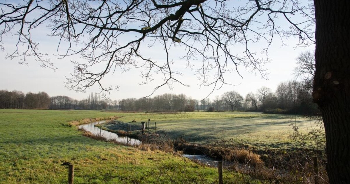 Nederlandse en Vlaamse natuurorganisaties openen natuurgebied Baelbrugsche Beemden