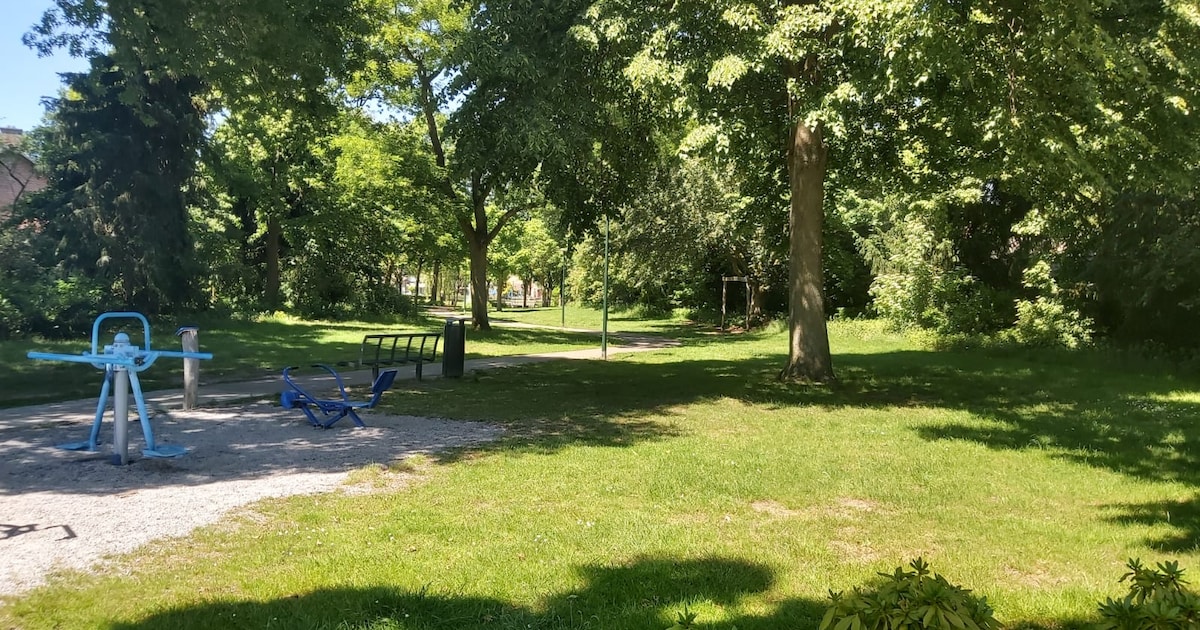Budel breidt garageverkoop uit met nieuwe parkverkoop in Boudriepark op 7 juni