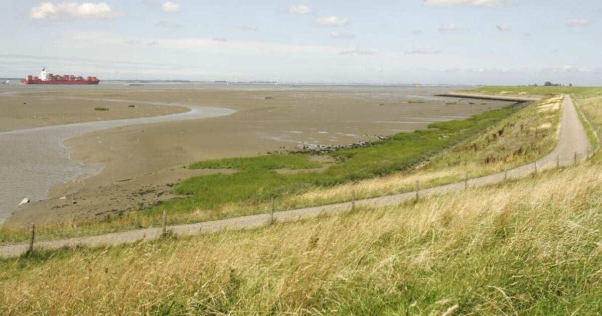 Tussen de Honte en de Westerschelde