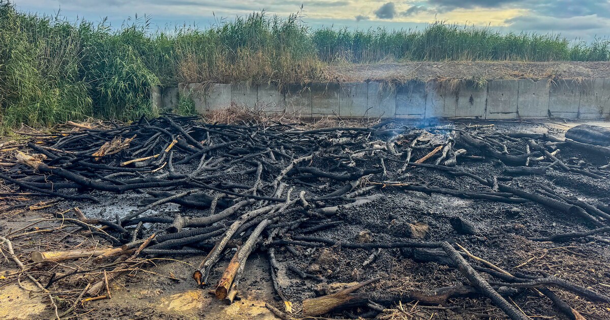 Stapel snoeihout in brand op Sint Felixweg in Kamperland
