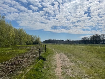 Even opbeuren: 5 x tips om Blue Monday te overleven