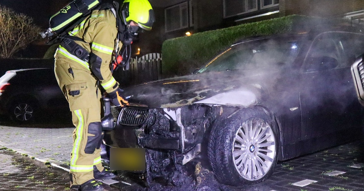 Auto vliegt in brand aan Waldammen in Zwijndrecht