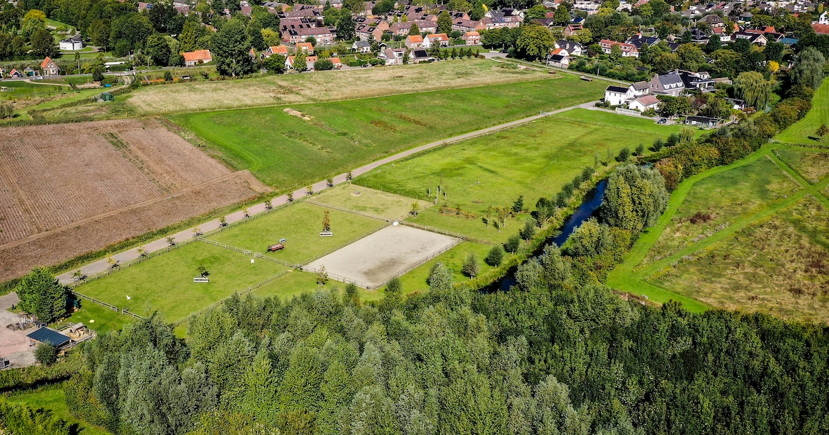 Raad van State: Alleen nieuwe vergunning kan bomen van voedselbos in Puttershoek nog redden