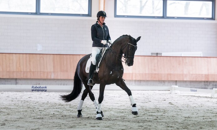Dominique Filion wil met Wenicienta naar de wereldtop | Regiosport ...