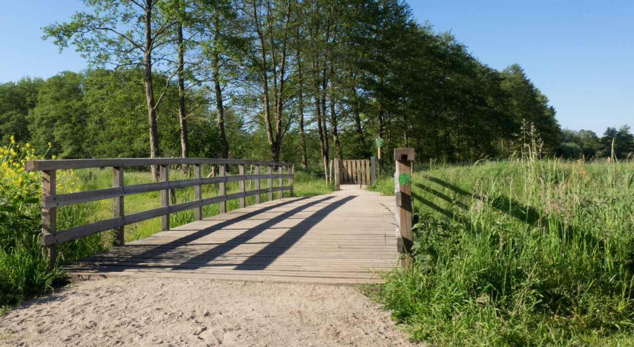 Seniorenwandeling in Helmond: ontdek het Goorlooppark en de Dahliatuin
