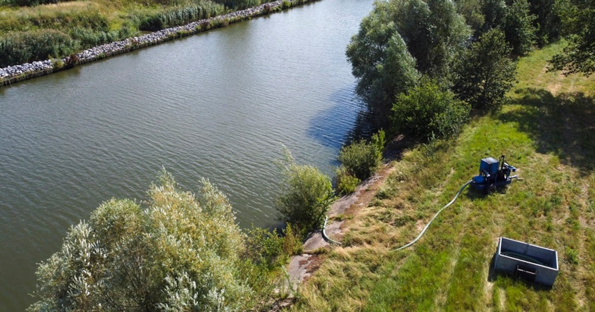 Hitte voorbij, droogte nog niet: oppompverbod ook in Essen van kracht