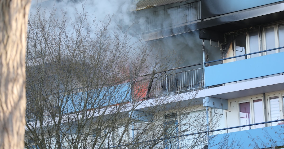 LIVE | Zeer grote flatbrand in Bergen op Zoom: brandweer massaal uitgerukt, flat wordt ontruimd