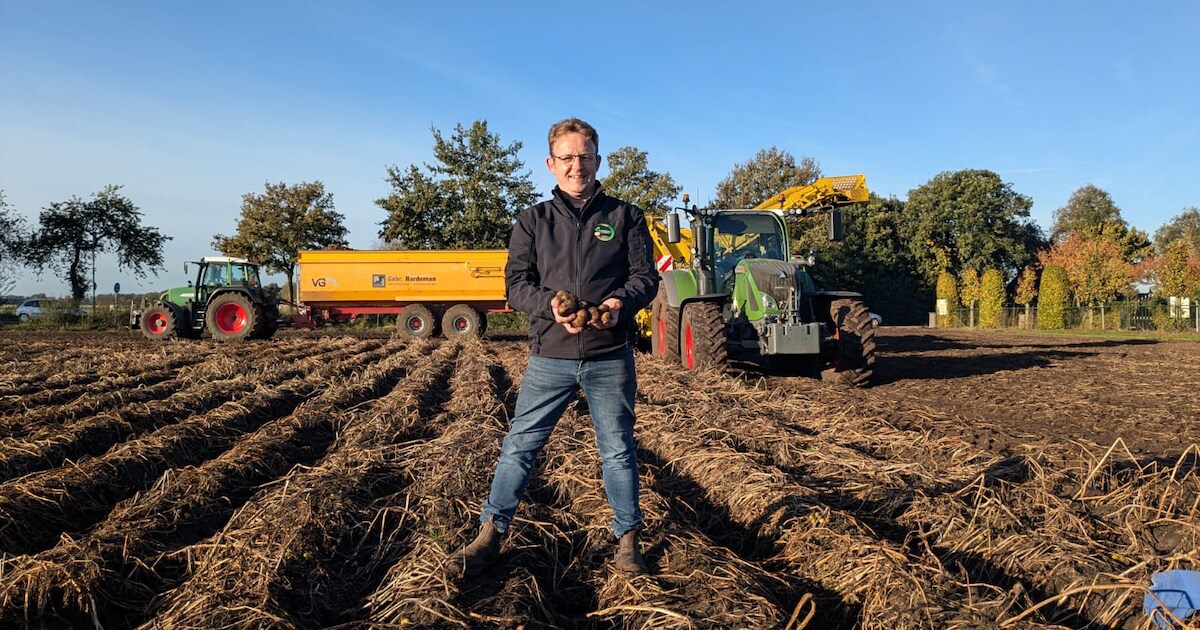 1,5 miljoen kilo aardappelen zaten al in de grond, toen ging CêlaVíta failliet